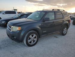 Salvage cars for sale from Copart Arcadia, FL: 2008 Ford Escape XLT