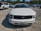 2005 Ford Mustang