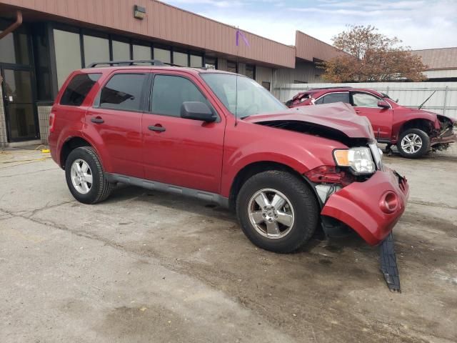 2009 Ford Escape XLT