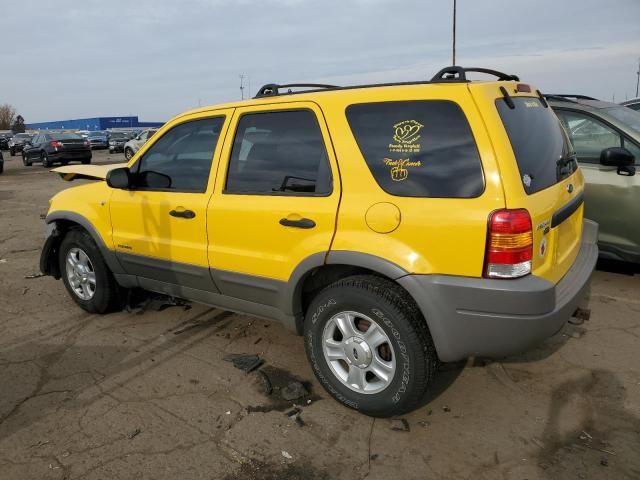 2001 Ford Escape XLT