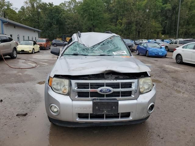 2011 Ford Escape XLT