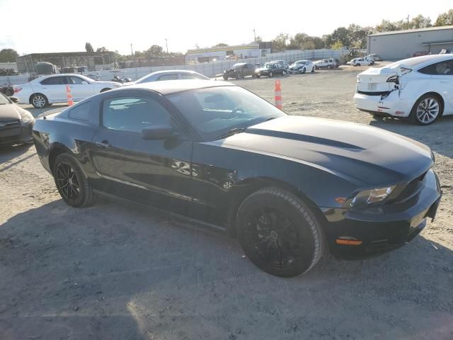 2010 Ford Mustang