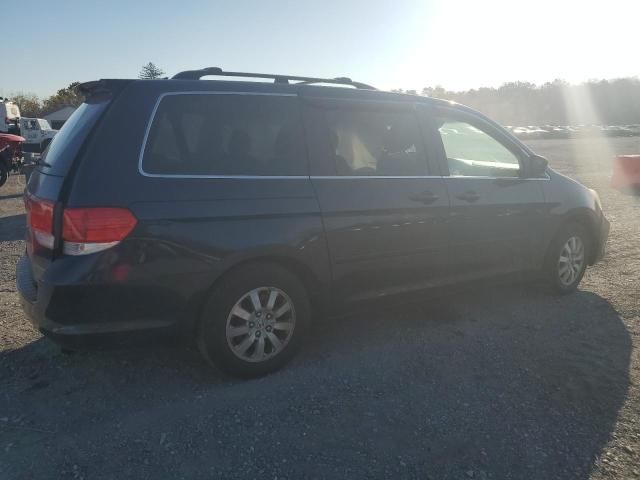 2008 Honda Odyssey EXL