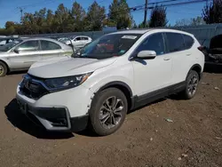 Honda cr-v ex Vehiculos salvage en venta: 2020 Honda CR-V EX