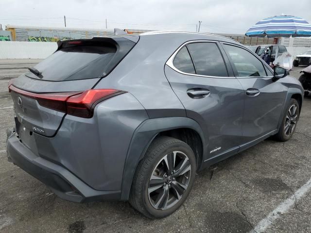 2019 Lexus UX 250H