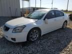 2007 Nissan Maxima SE