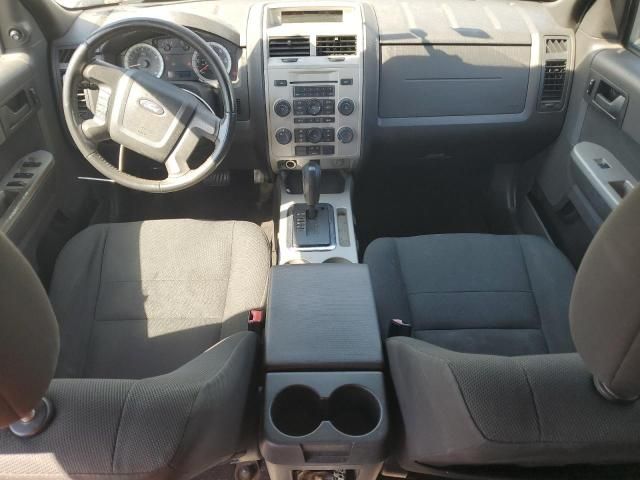 2009 Ford Escape XLT