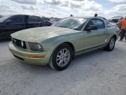 Salvage cars for sale from Copart Arcadia, FL: 2005 Ford Mustang