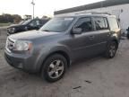 2009 Honda Pilot EXL