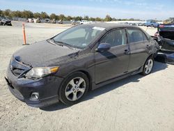 Toyota Corolla Vehiculos salvage en venta: 2013 Toyota Corolla Base