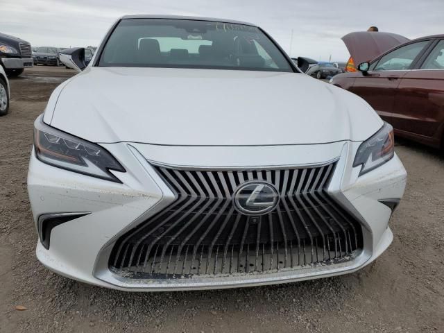 2019 Lexus ES 350