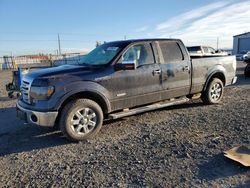 2013 Ford F150 Supercrew en venta en Airway Heights, WA