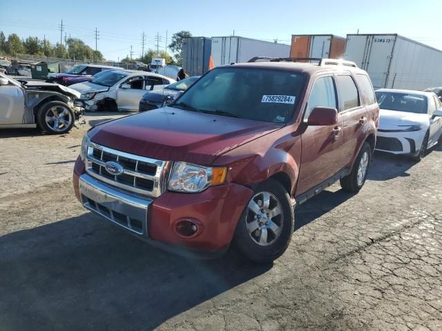 2011 Ford Escape Limited