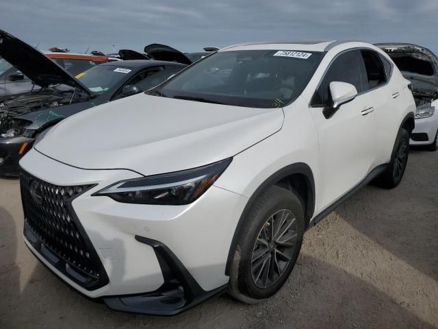 2022 Lexus NX 350