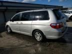 2005 Honda Odyssey EXL