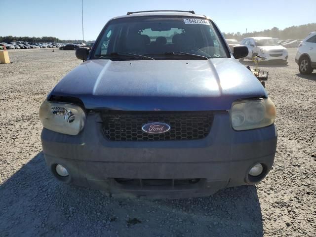 2007 Ford Escape XLT