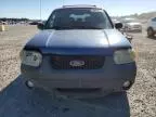 2007 Ford Escape XLT