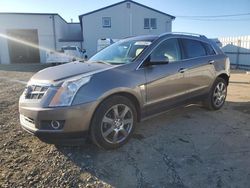 Cadillac salvage cars for sale: 2012 Cadillac SRX Premium Collection