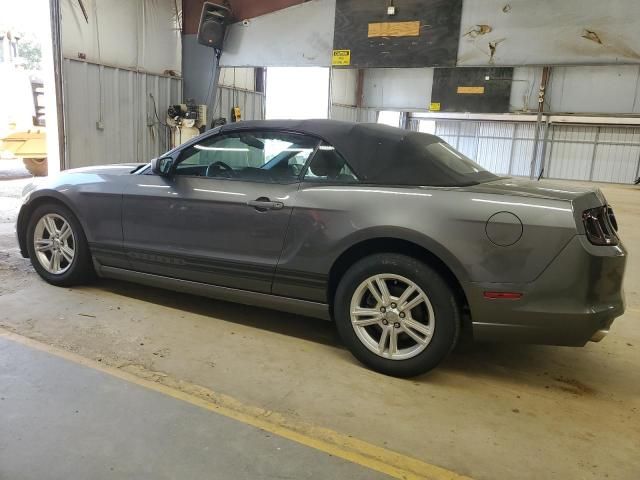 2013 Ford Mustang