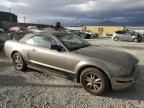 2005 Ford Mustang