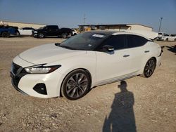 Salvage cars for sale at Temple, TX auction: 2019 Nissan Maxima S