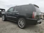 2011 Cadillac Escalade Platinum