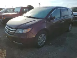 2014 Honda Odyssey EXL en venta en Arcadia, FL