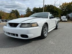 Ford Mustang Cobra svt Vehiculos salvage en venta: 2001 Ford Mustang Cobra SVT