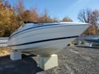 2000 Chris Craft Boat