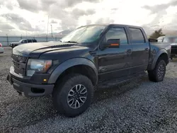 Ford f150 Vehiculos salvage en venta: 2012 Ford F150 SVT Raptor