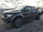 2012 Ford F150 SVT Raptor