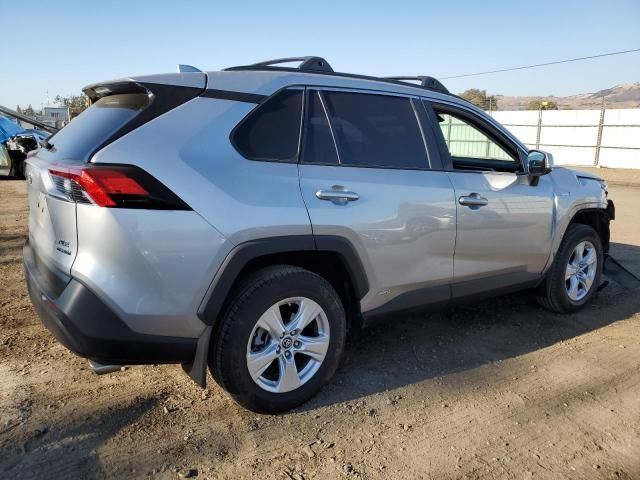 2019 Toyota Rav4 XLE