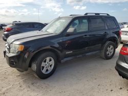 Salvage cars for sale at Riverview, FL auction: 2008 Ford Escape HEV