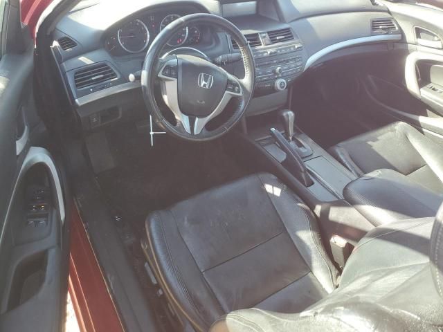 2009 Honda Accord EXL