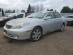 2006 Lexus ES 330