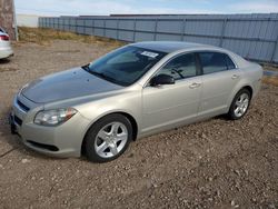 Salvage cars for sale at Rapid City, SD auction: 2011 Chevrolet Malibu LS