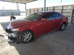 Salvage cars for sale at Anthony, TX auction: 2014 Lexus IS 250