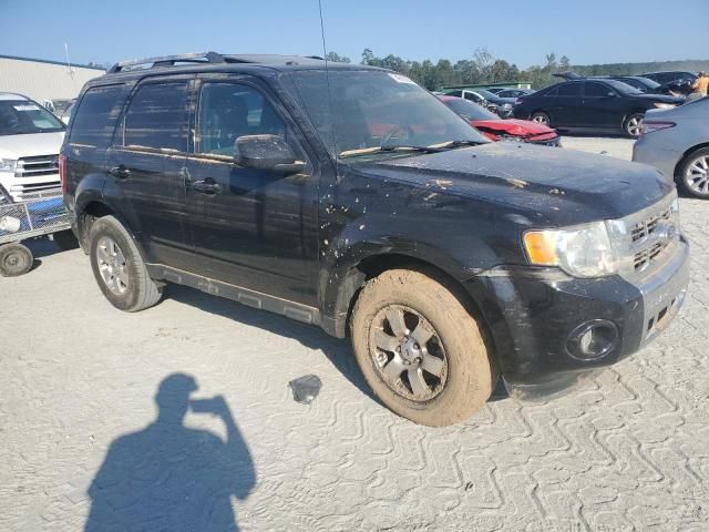 2012 Ford Escape Limited