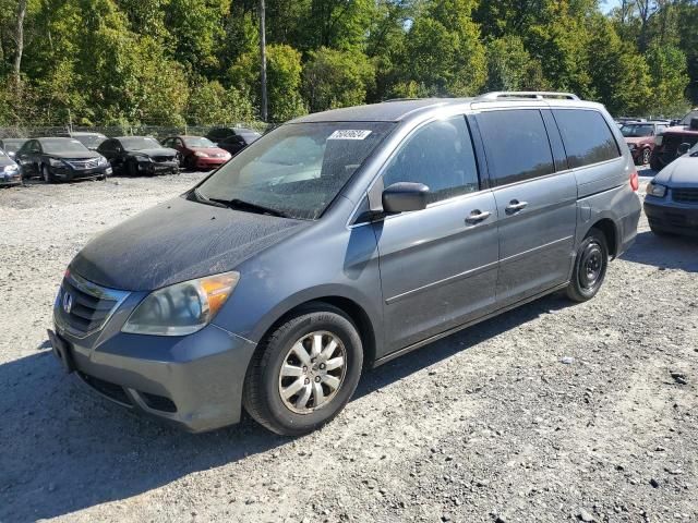 2010 Honda Odyssey EX