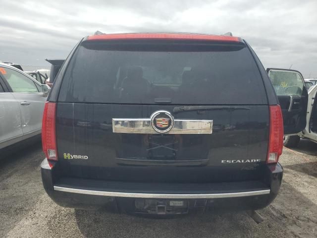 2010 Cadillac Escalade Hybrid