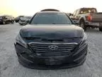 2015 Hyundai Sonata ECO