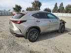 2023 Lexus NX 250