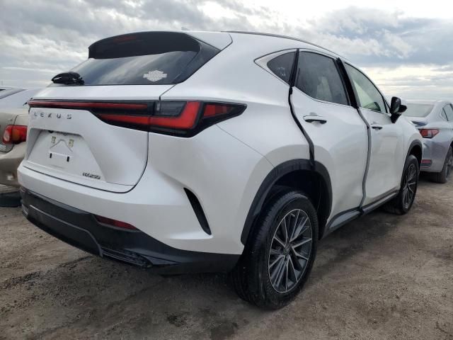 2022 Lexus NX 250