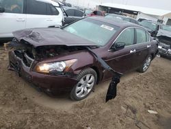 Honda Vehiculos salvage en venta: 2010 Honda Accord EXL