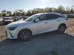 2023 Lexus RX 350 Base