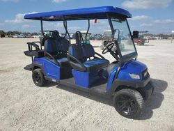 2022 Bintelli Golfcart en venta en Arcadia, FL