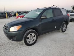 Salvage cars for sale at Arcadia, FL auction: 2011 Toyota Rav4