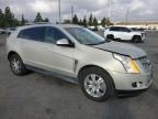 2011 Cadillac SRX Luxury Collection