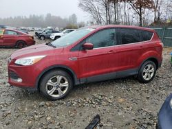 Salvage cars for sale at Candia, NH auction: 2016 Ford Escape SE