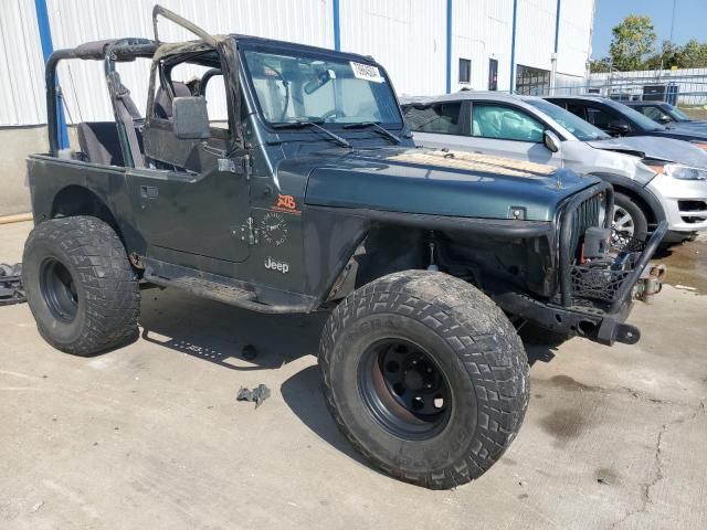 2002 Jeep Wrangler / TJ X